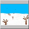 Snow_Country_1.jpg