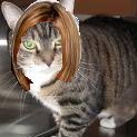 posh bob kitty red