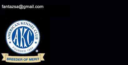 fantazsa e mail address
