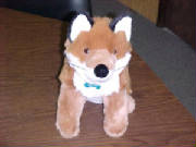 fox.jpg