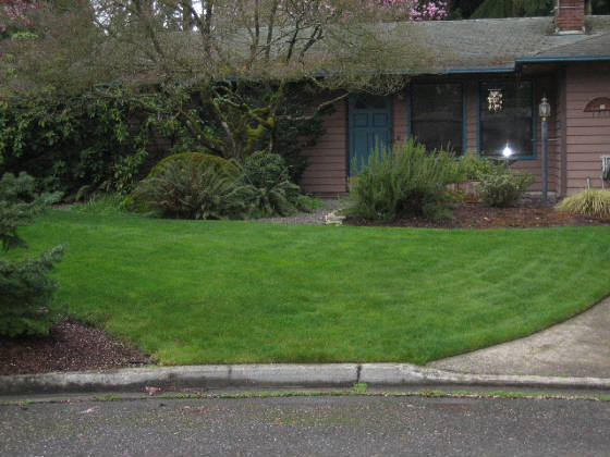 FrontYardPicture001.jpg