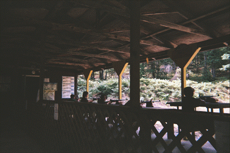 campgreilick-18.gif