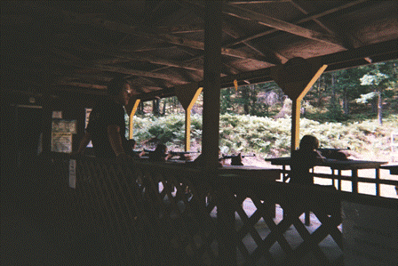 campgreilick-19.gif