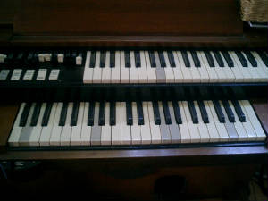 organ.jpg