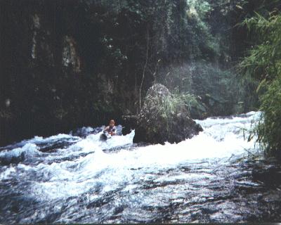 Ricardo Lugo on Actopan River, Veracruz, Mexico (photo by Bill Robertson)