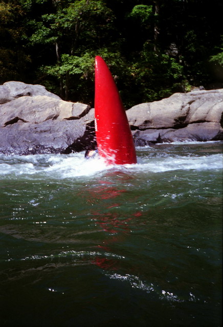 Tom Bonfini at Piddly