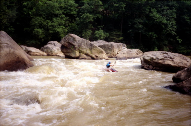 Wayne Carey at River's End