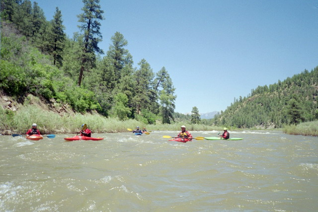 Cathy Needham, Missy Carey, Mike Duvall, Angie Carey, Santo Albright, & Judi Fordyce