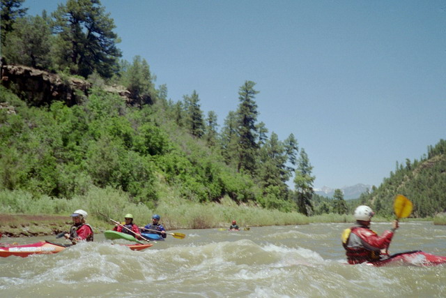 Cathy Needham, Judi Fordyce, Mike Duvall, Angie Carey, & Santo Albright
