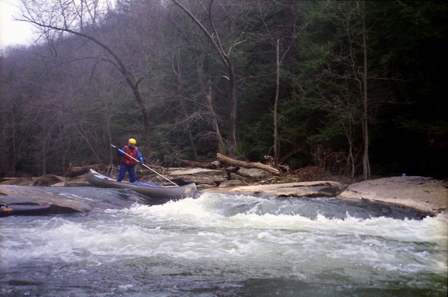 Roy Weil at Chicken Toes