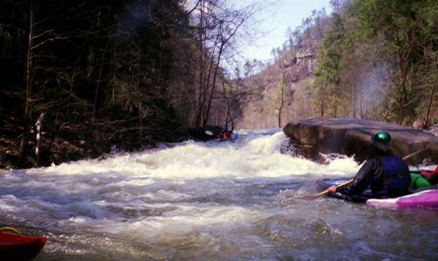 Erin Bethea at Tom's Brainbuster