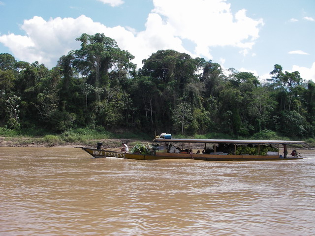 Bananas on the way to market