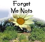 Forget Me Nots