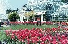 Volunteer Park
