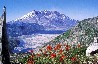 Mt. St. Helens