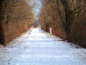 trailpics032.jpg