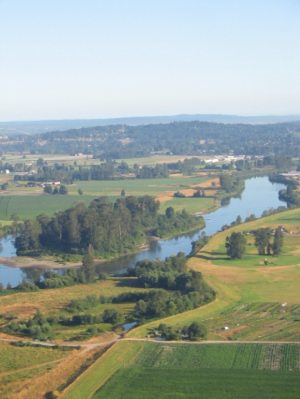 Ballooning18.jpg