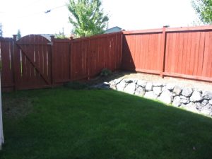 backyard2.jpg