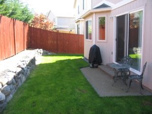 backyard3.jpg