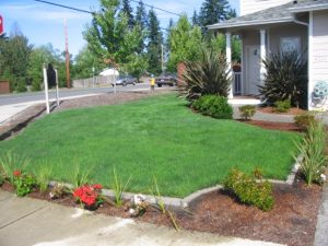 frontyard1.jpg