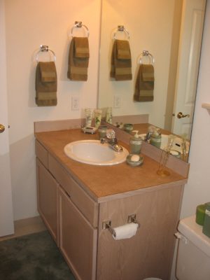 guest_bath1.jpg