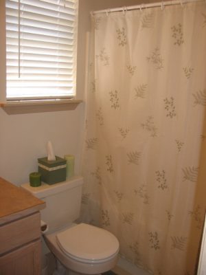 guest_bath2.jpg