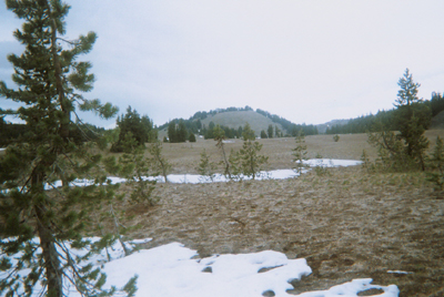 Cinder cone in distance