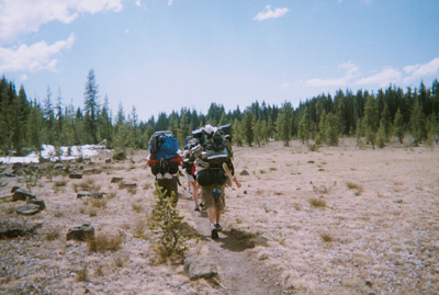 Hikers in an open area