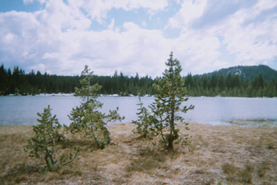 Mirror Lake with cinder cone in background