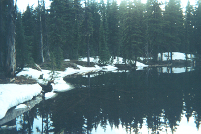 Snow-edged lake at dusk