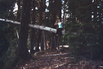 Suzo sitting high on a log