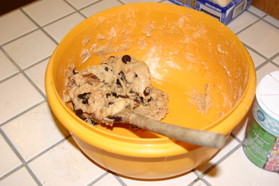 img_2225-400x267q10copy.jpg