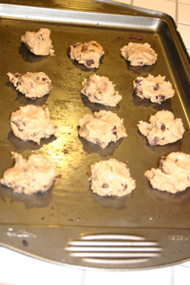 img_2245-267x400q10copy.jpg