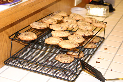 img_2246-400x267q10copy.jpg