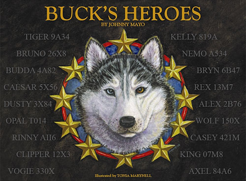bucks-heroes-cover.jpeg