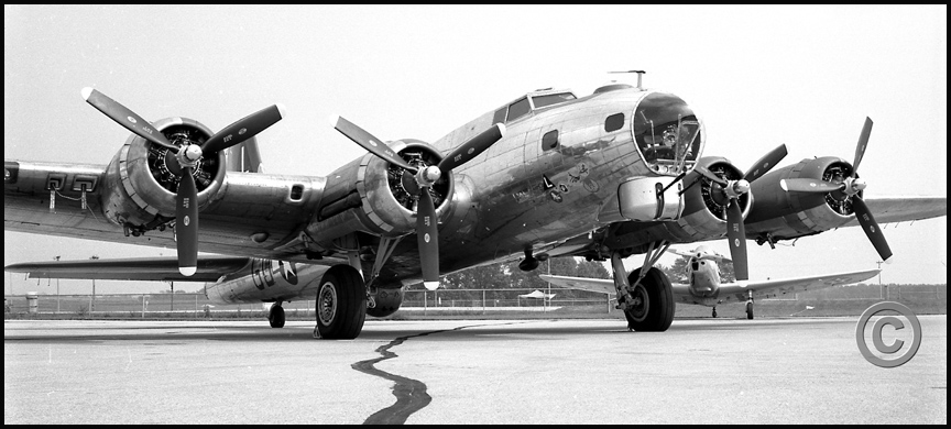 ACAQ095Yankee.jpg