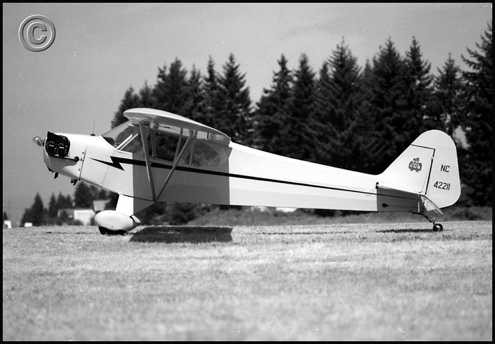 ACAQ313PiperCub.jpeg