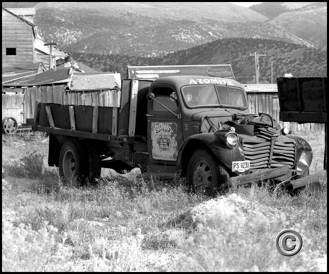 AUAQ 028 Trucks.jpeg