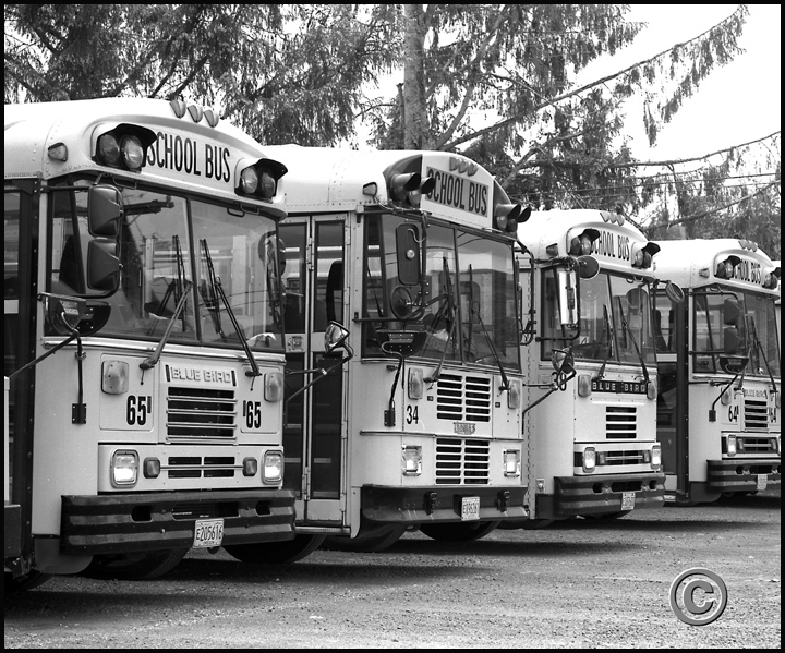 AUAQ146Busses.jpg