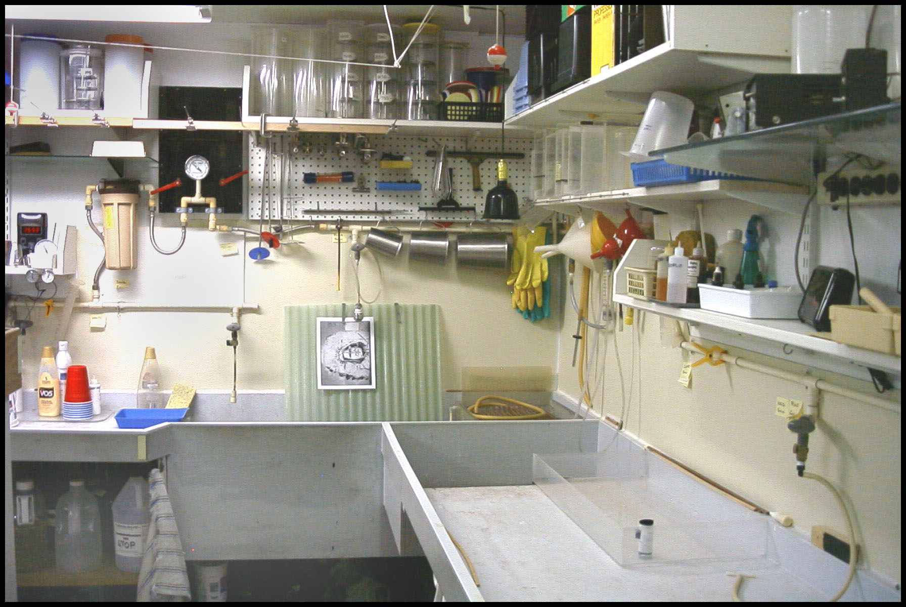 DarkroomSink4.jpeg