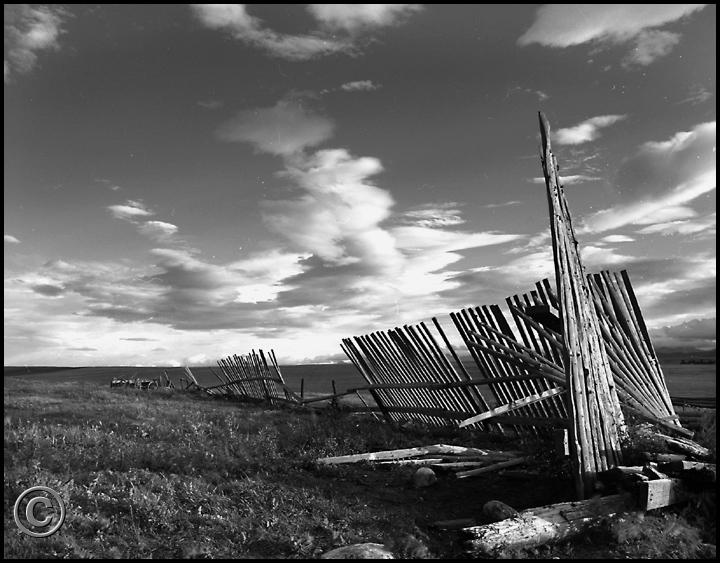 FENP 012 SnowFence.jpeg