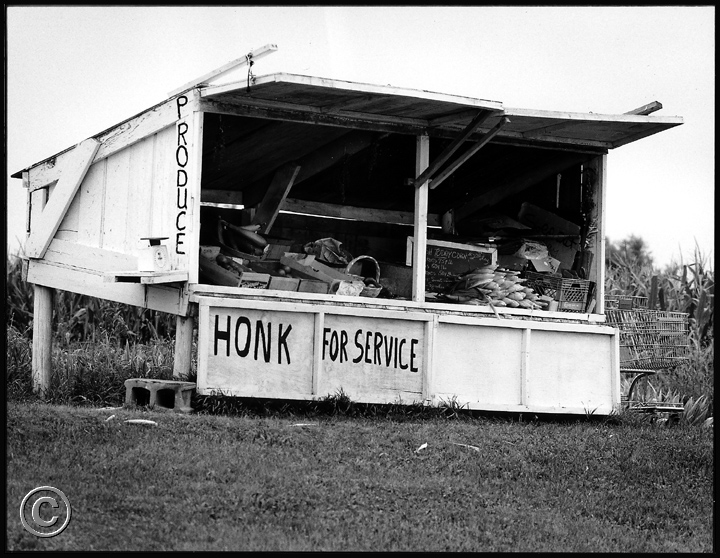 Honk029.jpeg