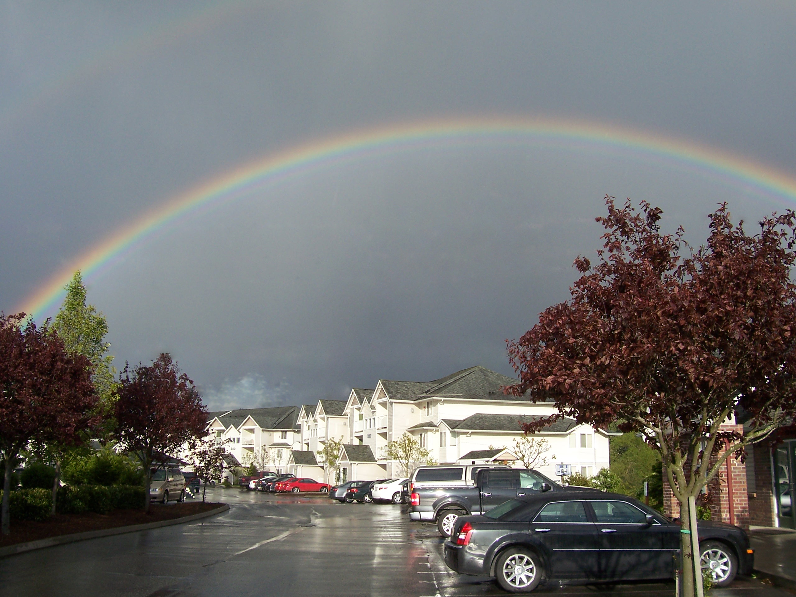 rainbow12.jpg