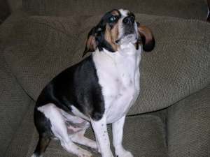 Quincy