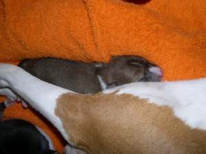 Curled up with mommy