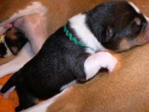 Sleeping with mommy