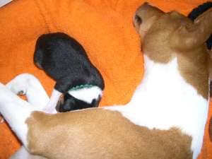 Sleeping with mommy