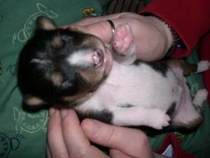 DSCN1408.jpg