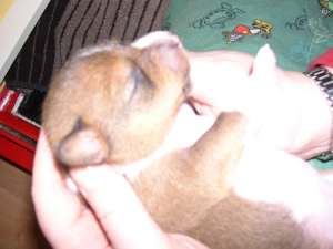DSCN1410.jpg