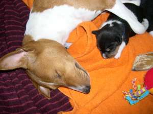 DSCN1430.jpg